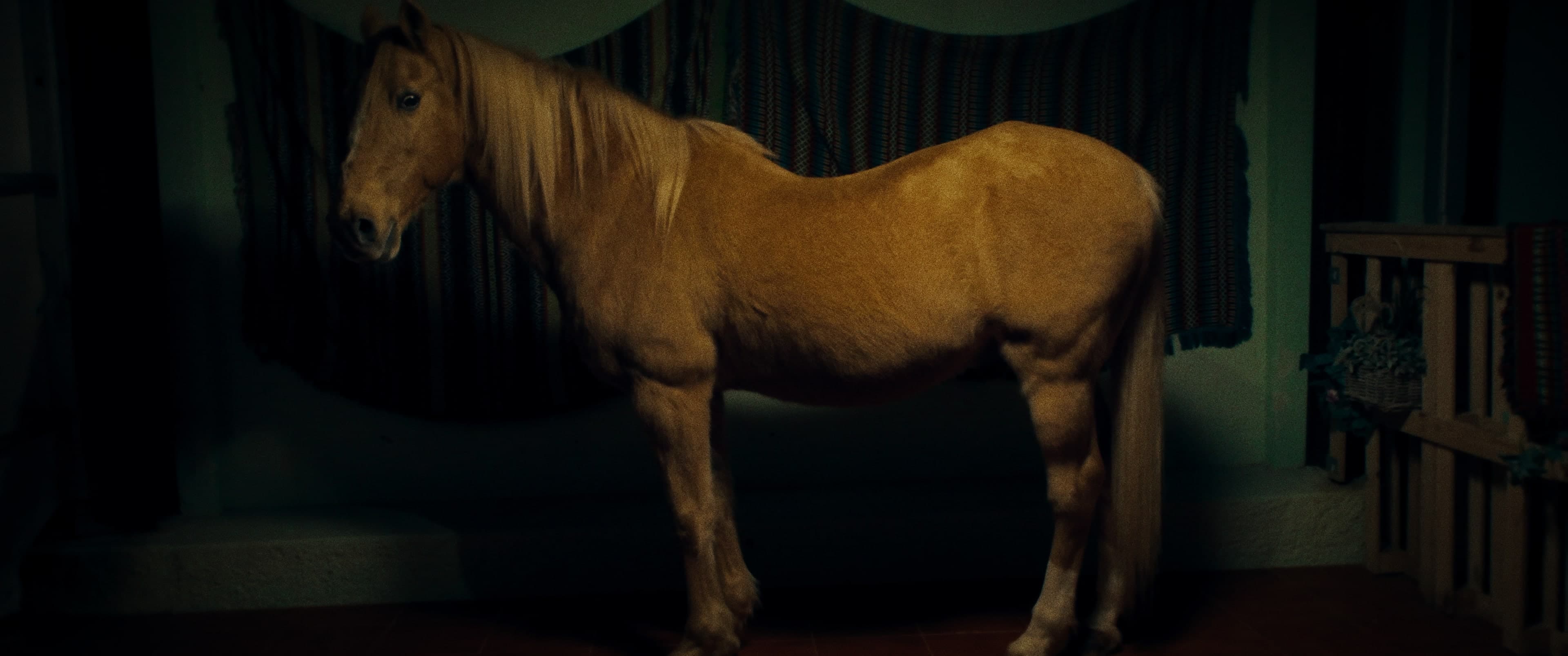 Filipe Karlson - Parece, Parece still 10