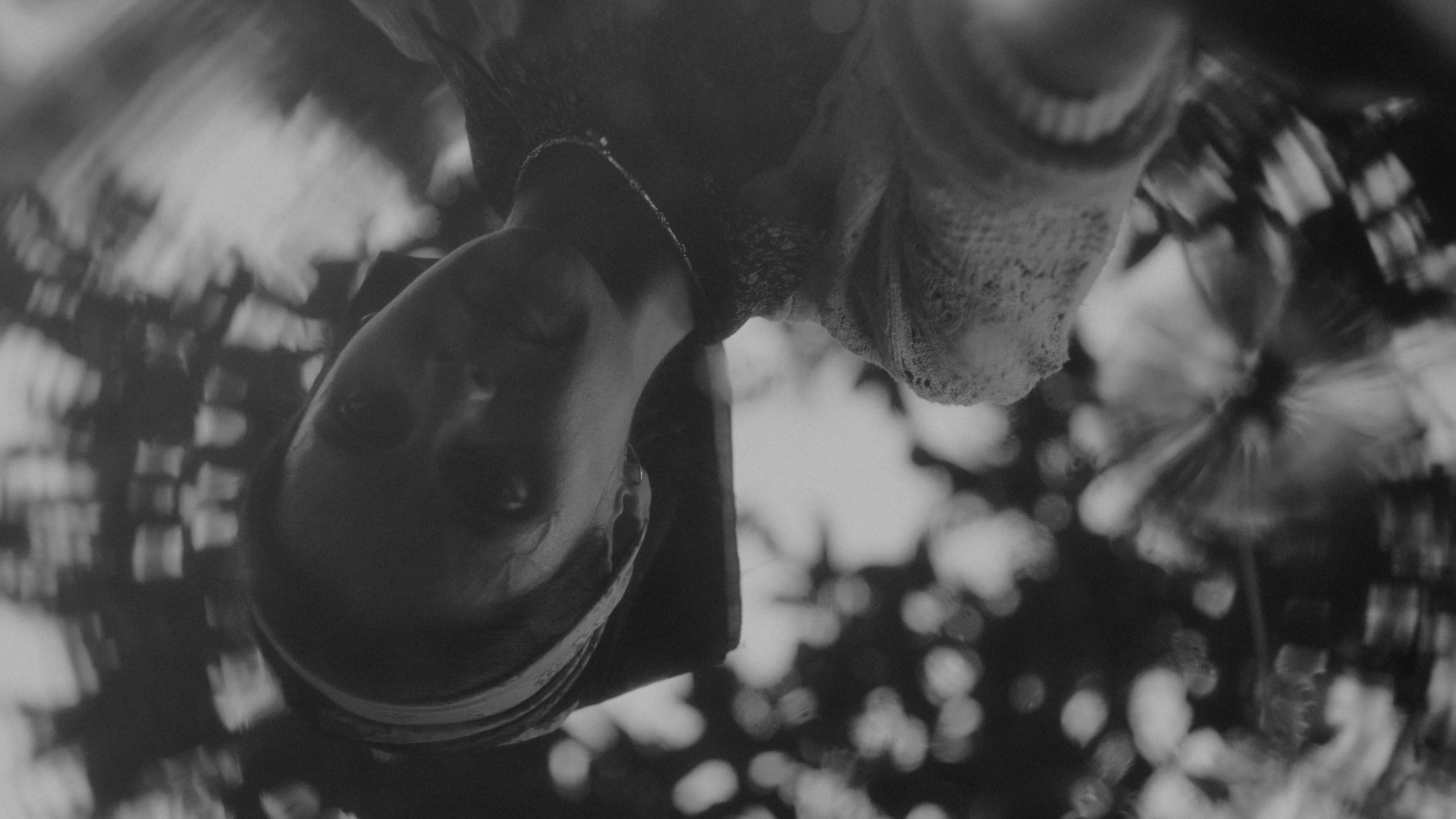 Helena Caldeira - Vizinhas still 8