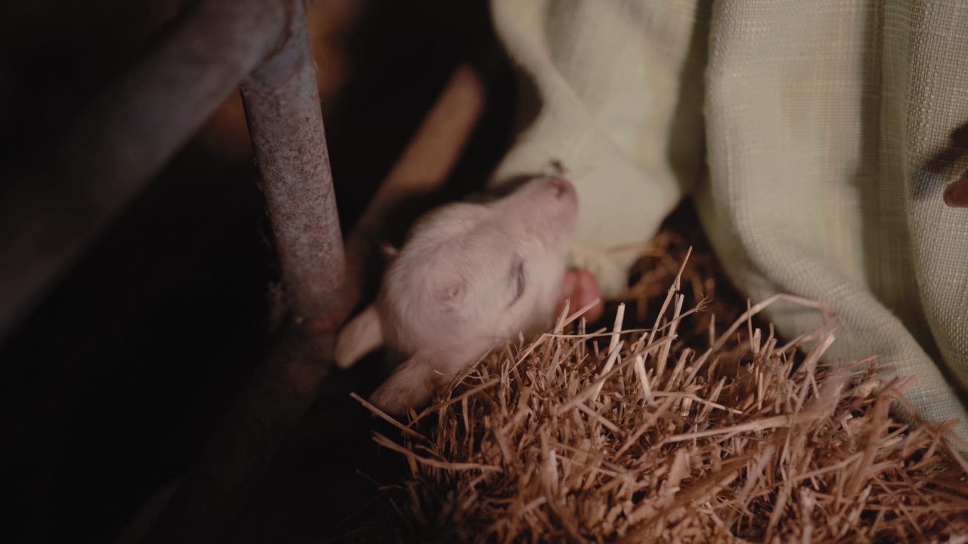 La vie de Maria Manuela still 13