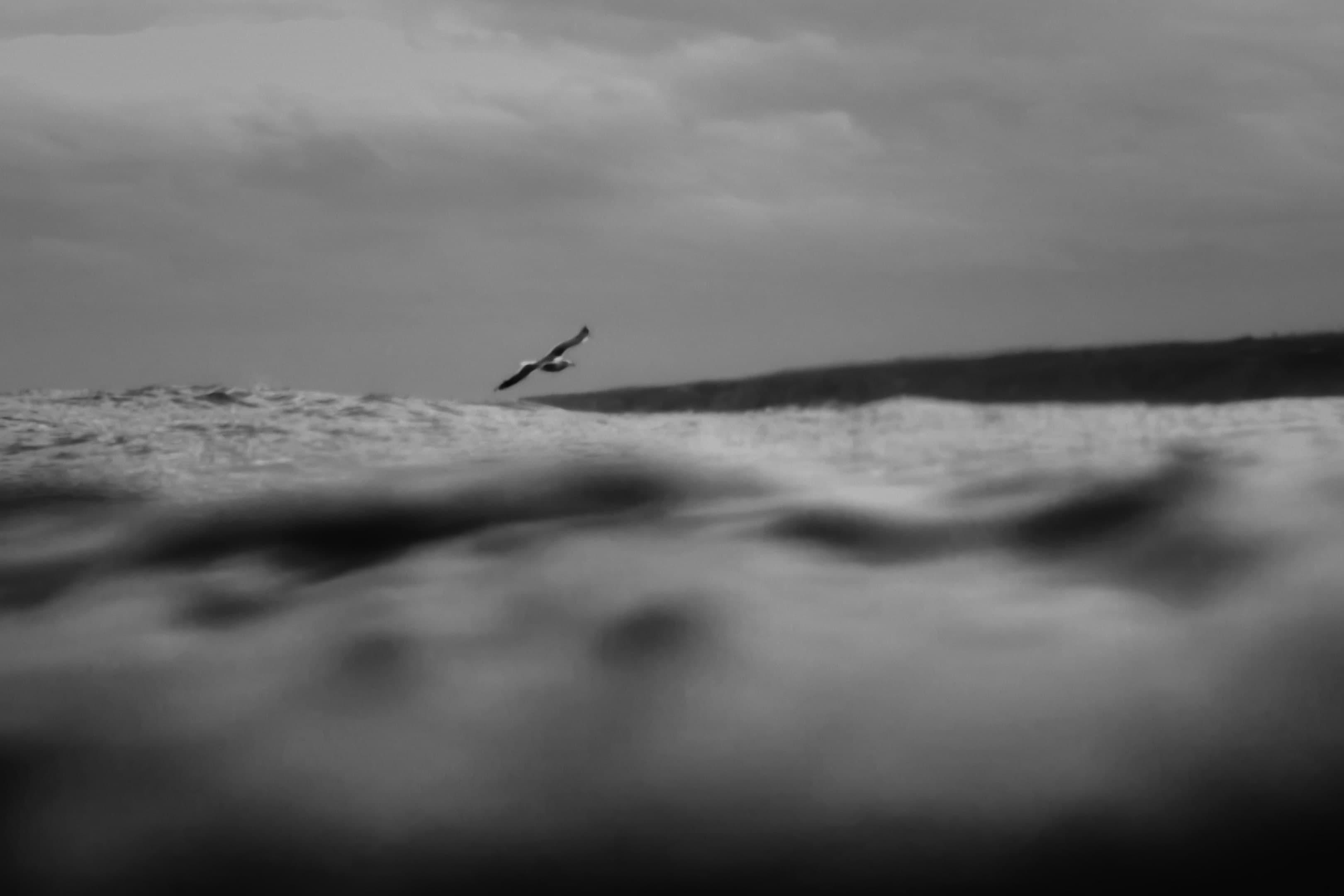 Ricardo Ribeiro feat Ana Moura - Maré still 6