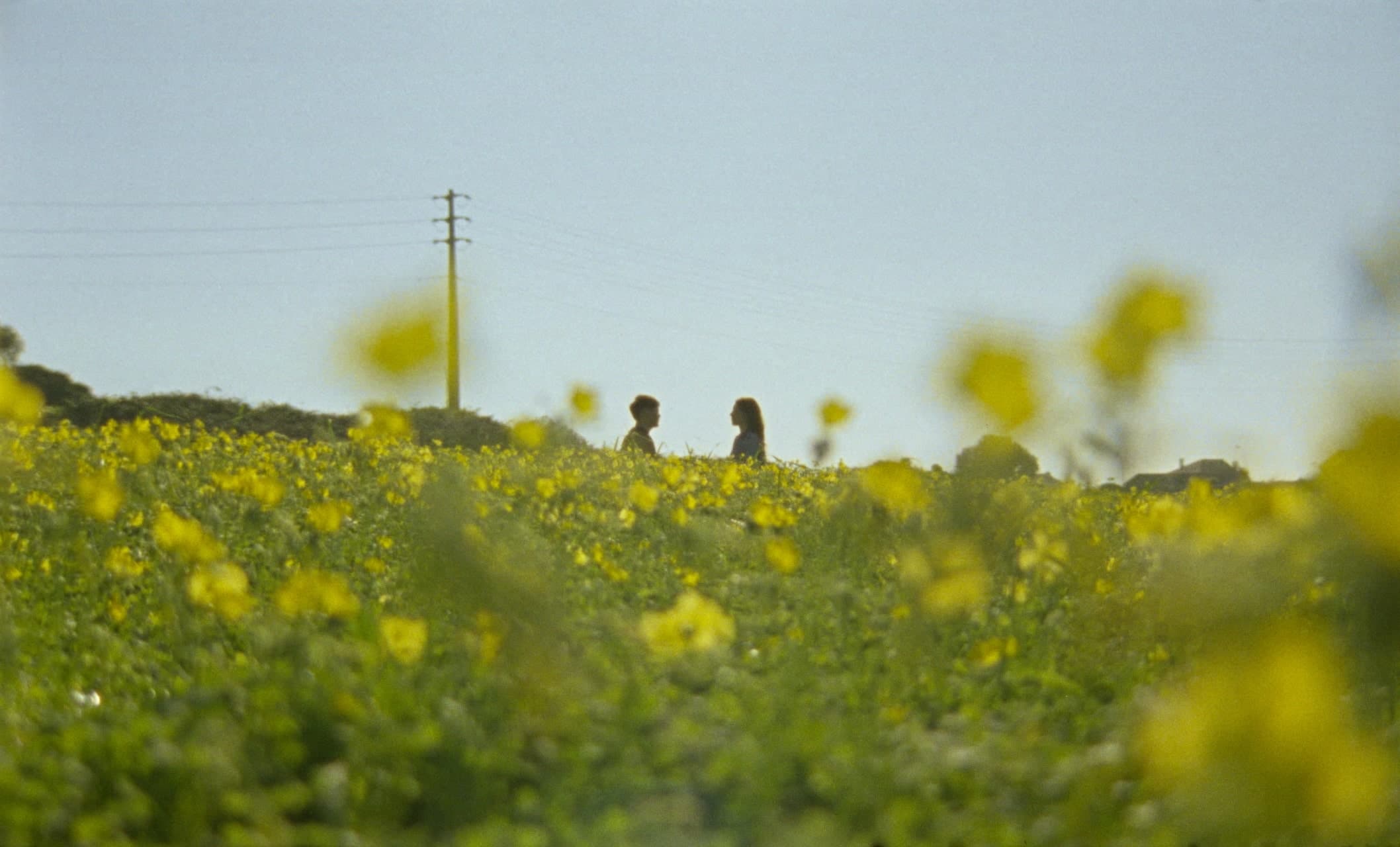VSP AST - AGUARELA still 4